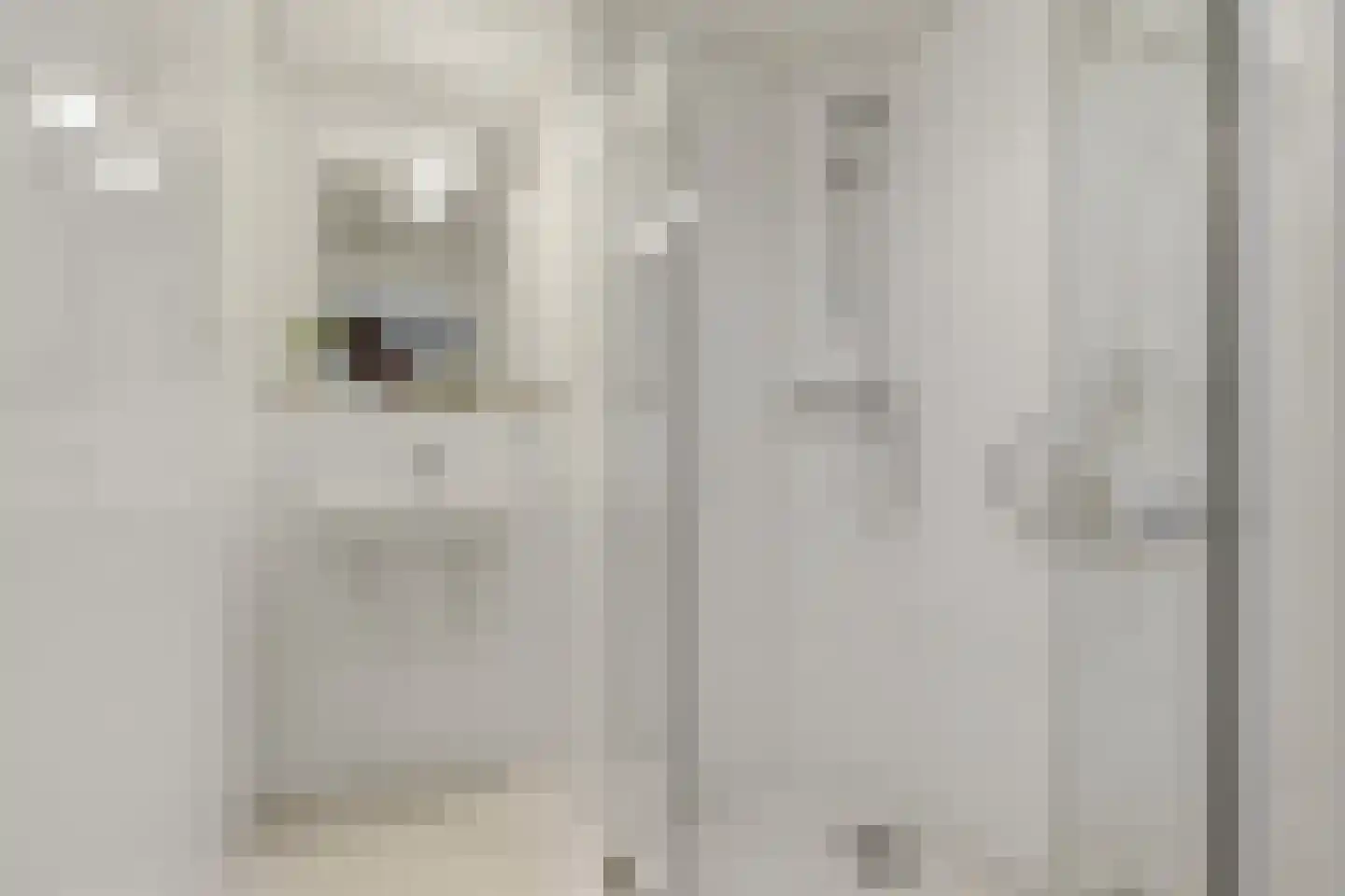 Laurens Janszn Costerstraat 22 Krommenie thumbnail 27