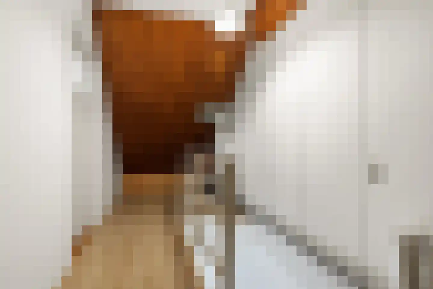 Laurens Janszn Costerstraat 22 Krommenie thumbnail 28