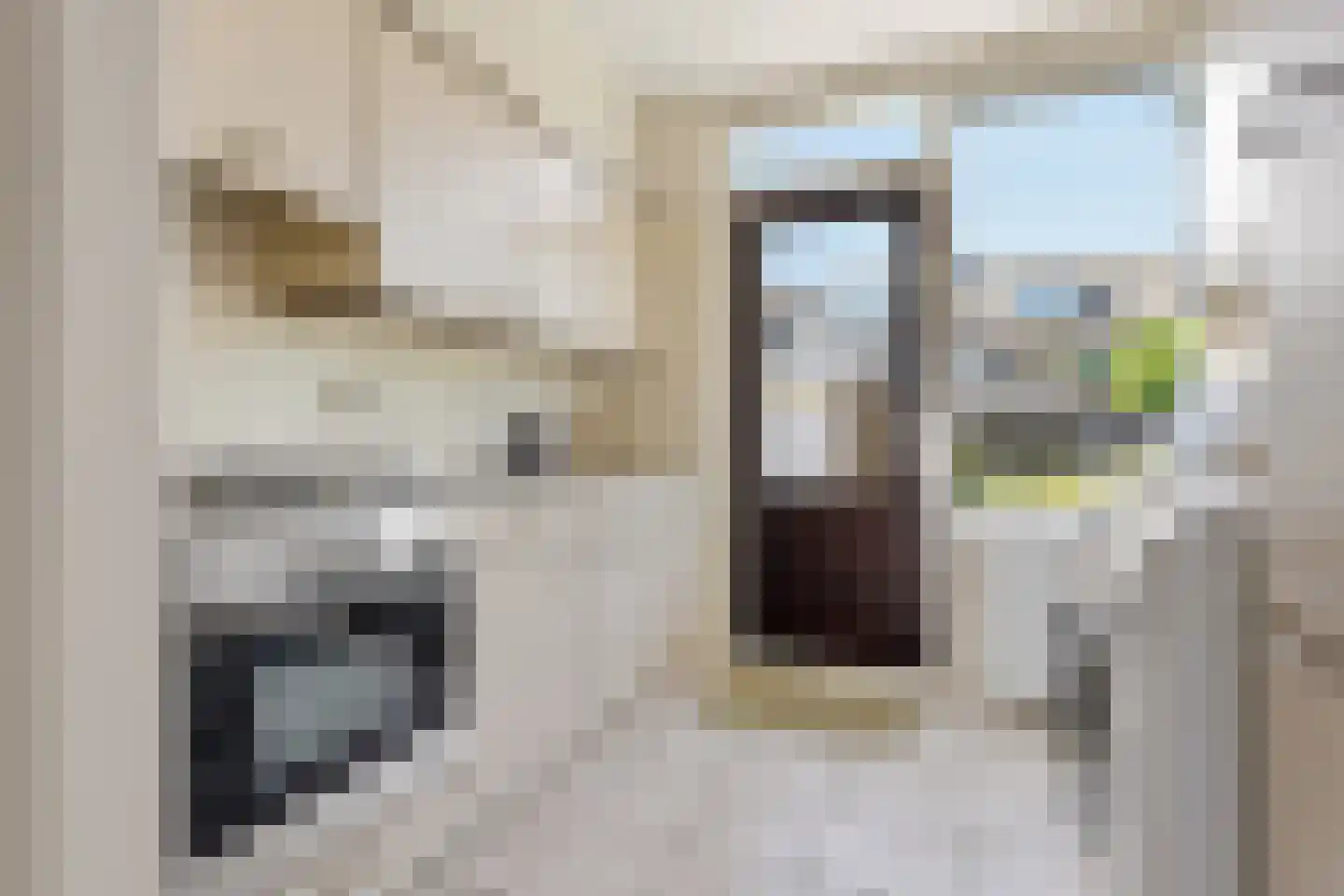 Laurens Janszn Costerstraat 22 Krommenie thumbnail 7