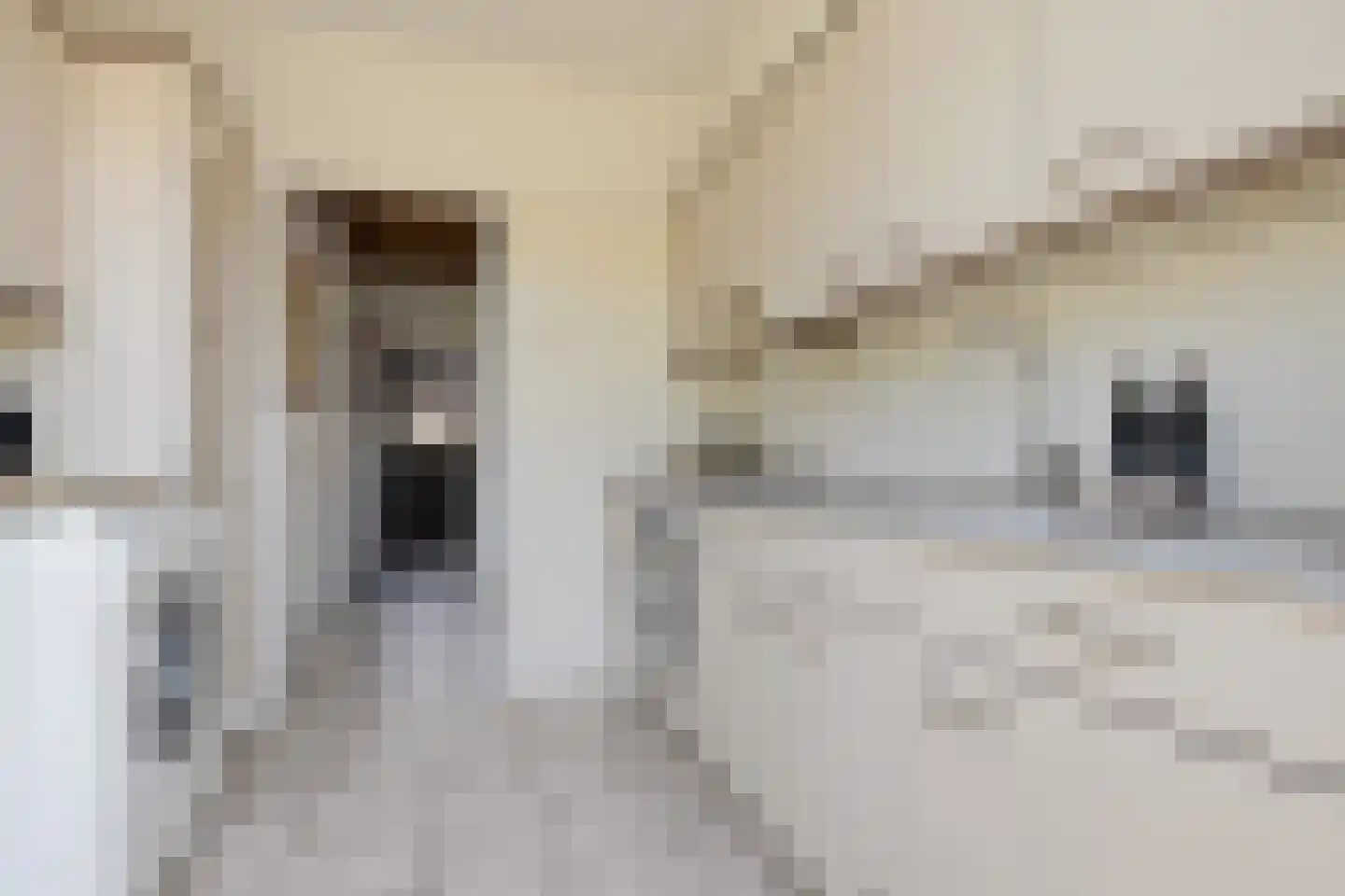 Laurens Janszn Costerstraat 22 Krommenie thumbnail 8