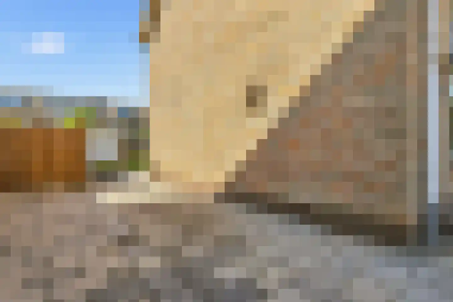 Laurens Janszn Costerstraat 22 Krommenie thumbnail 9