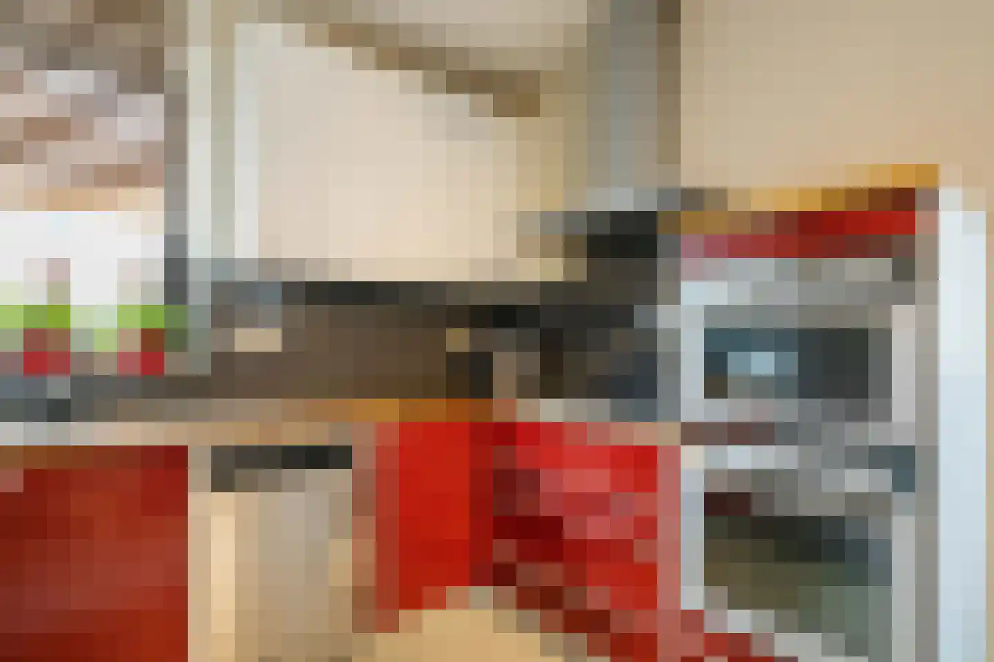 Laurens Janszn. Kosterstraat 1 Ede thumbnail 10