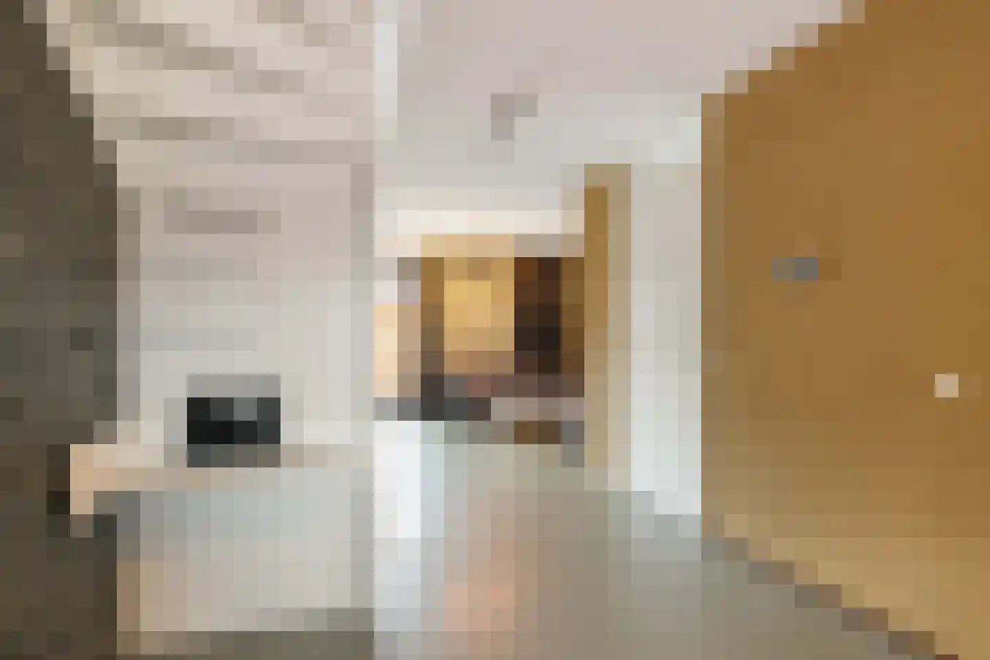 Laurens Janszn. Kosterstraat 1 Ede thumbnail 11