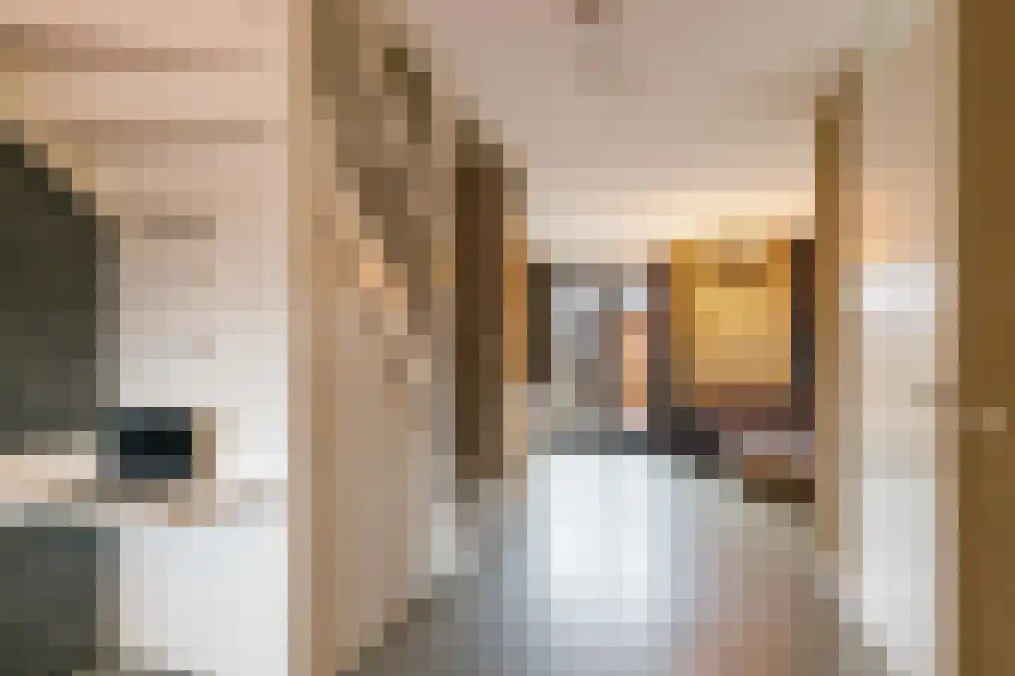 Laurens Janszn. Kosterstraat 1 Ede thumbnail 12