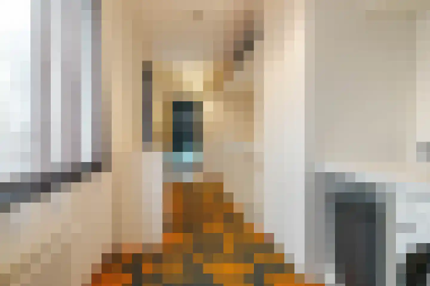 Laurens Janszn. Kosterstraat 1 Ede thumbnail 25