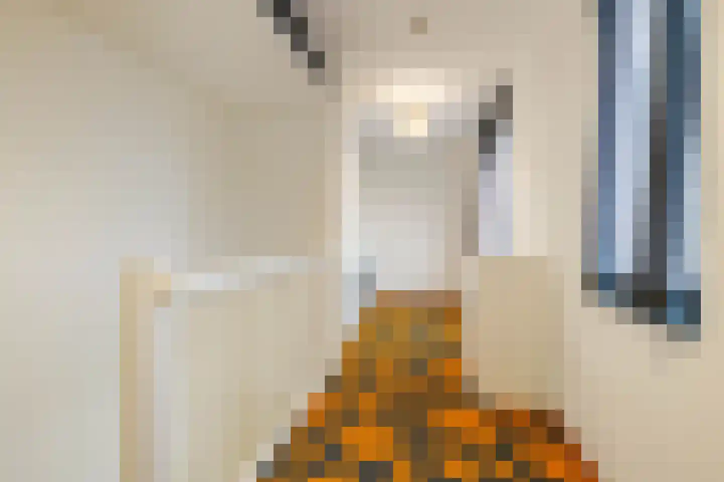 Laurens Janszn. Kosterstraat 1 Ede thumbnail 28