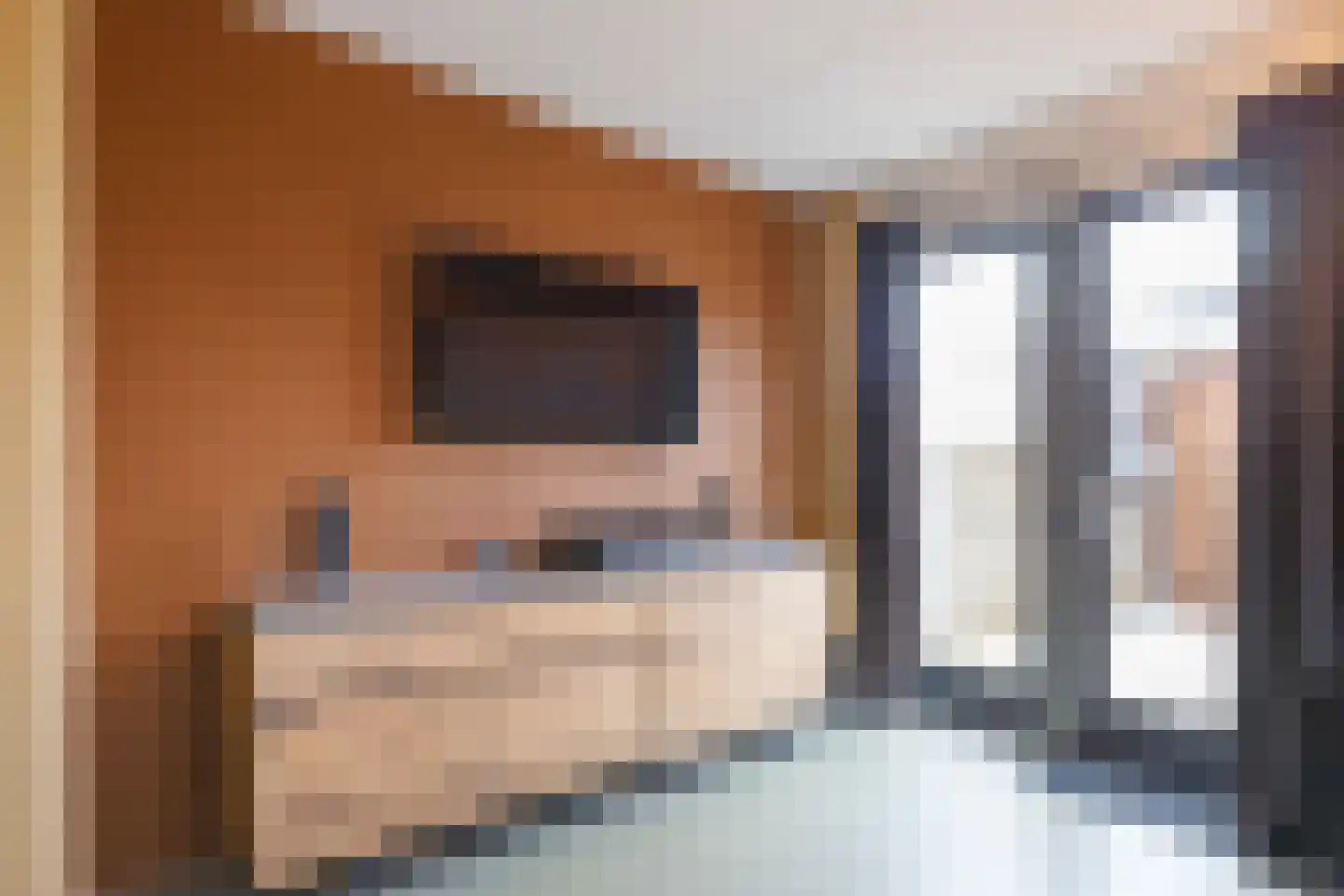 Laurens Janszn. Kosterstraat 1 Ede thumbnail 4