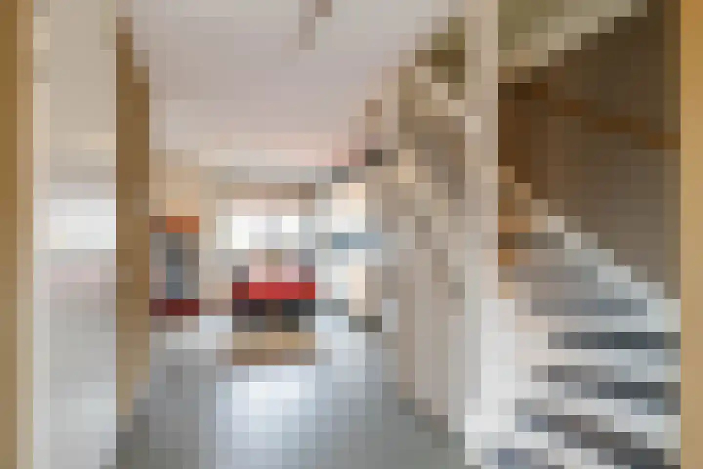Laurens Janszn. Kosterstraat 1 Ede thumbnail 6