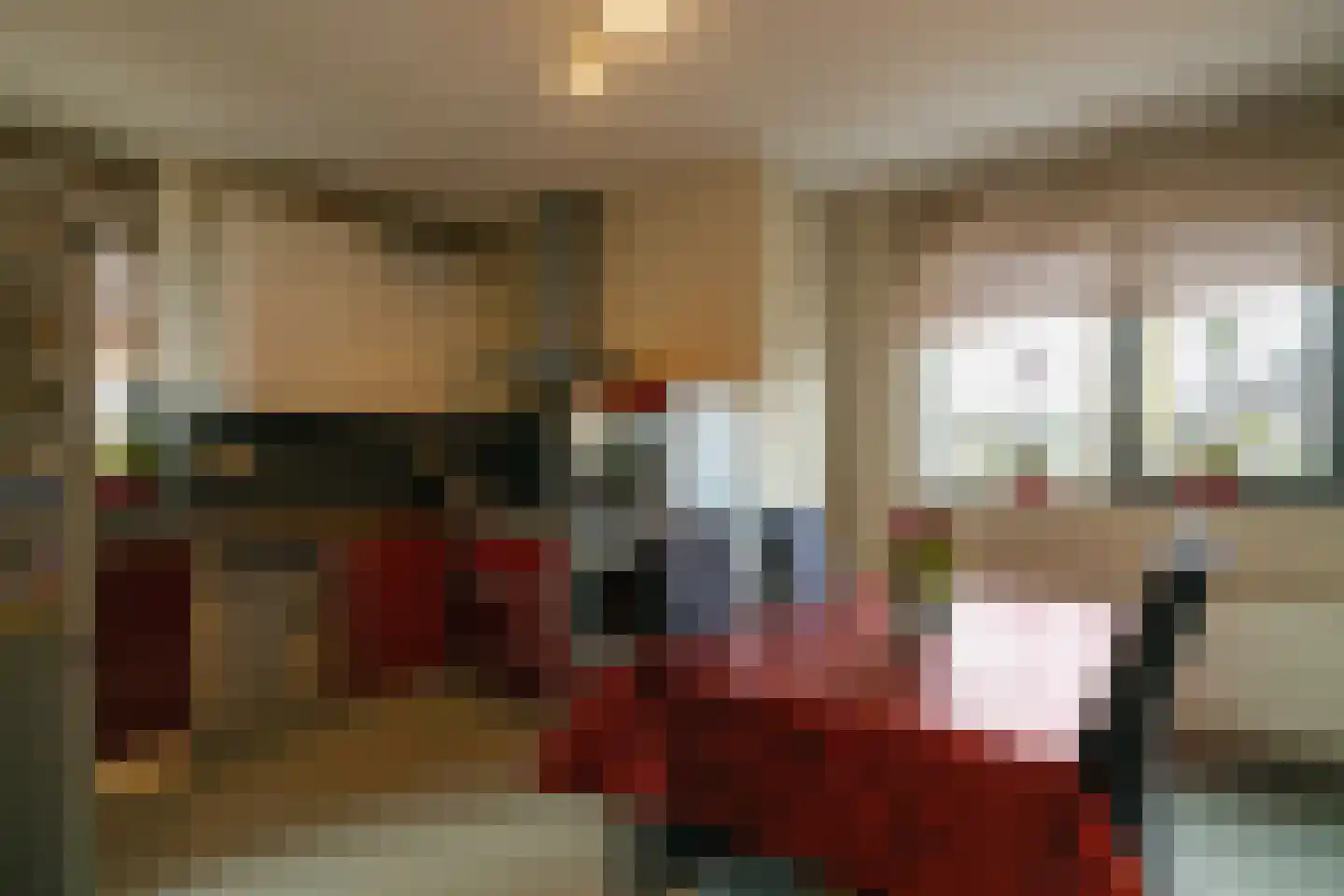 Laurens Janszn. Kosterstraat 1 Ede thumbnail 8