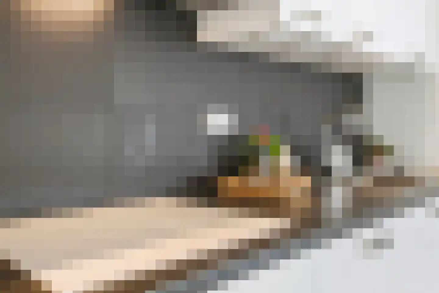 Laurens Reaalstraat 14 A Utrecht thumbnail 20