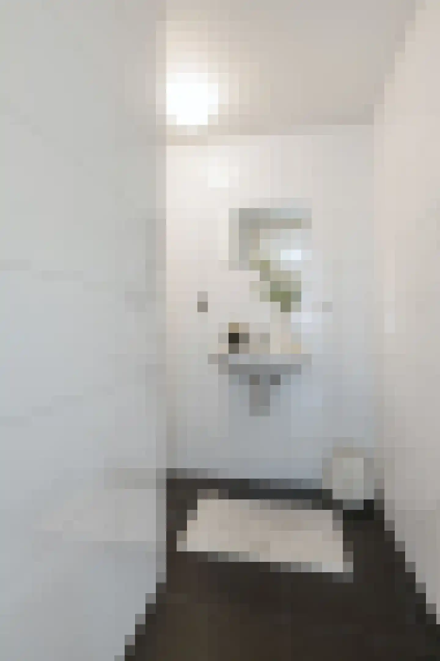 Laurens Reaalstraat 14 A Utrecht thumbnail 30