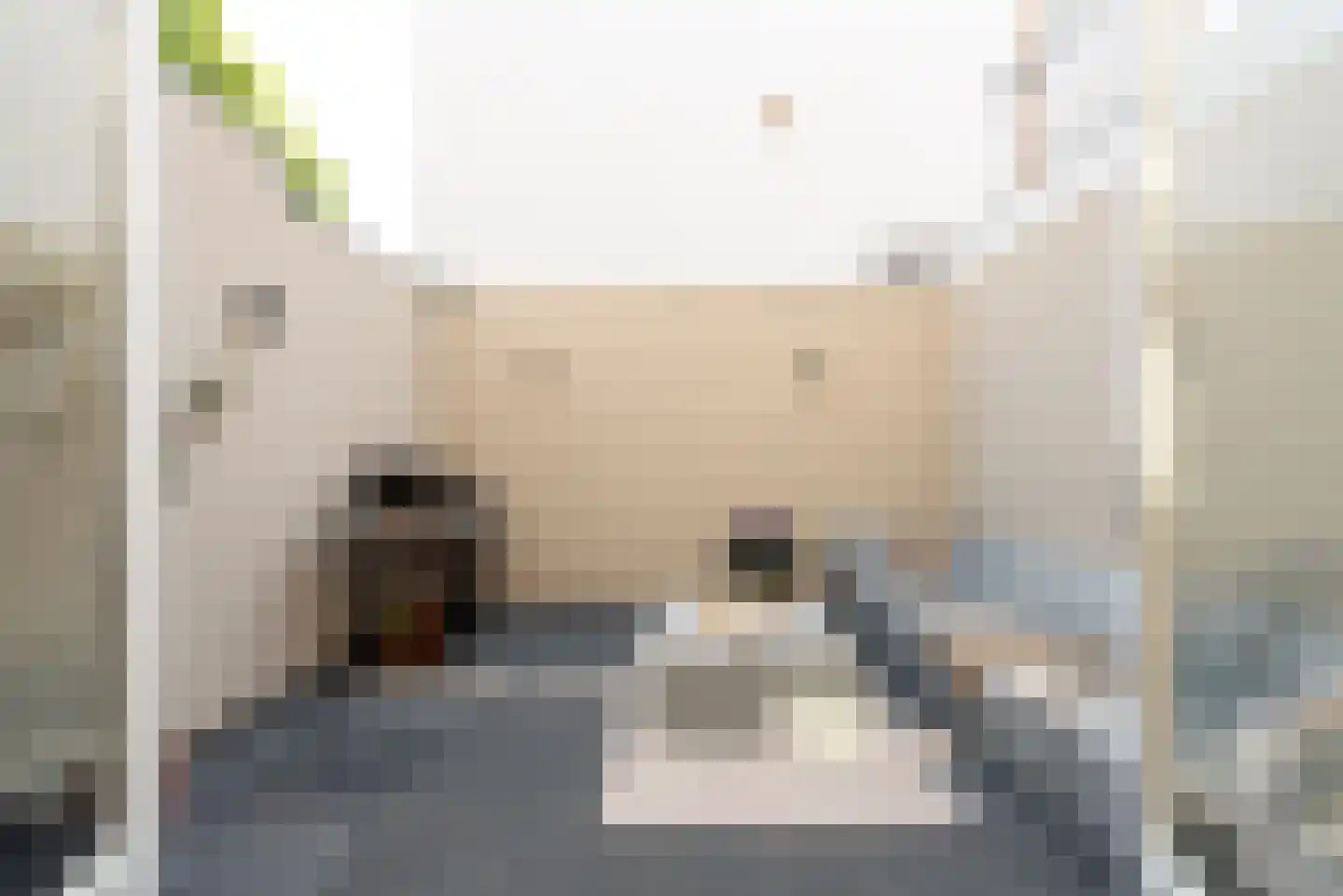 Laurens Reaalstraat 50 Utrecht thumbnail 16
