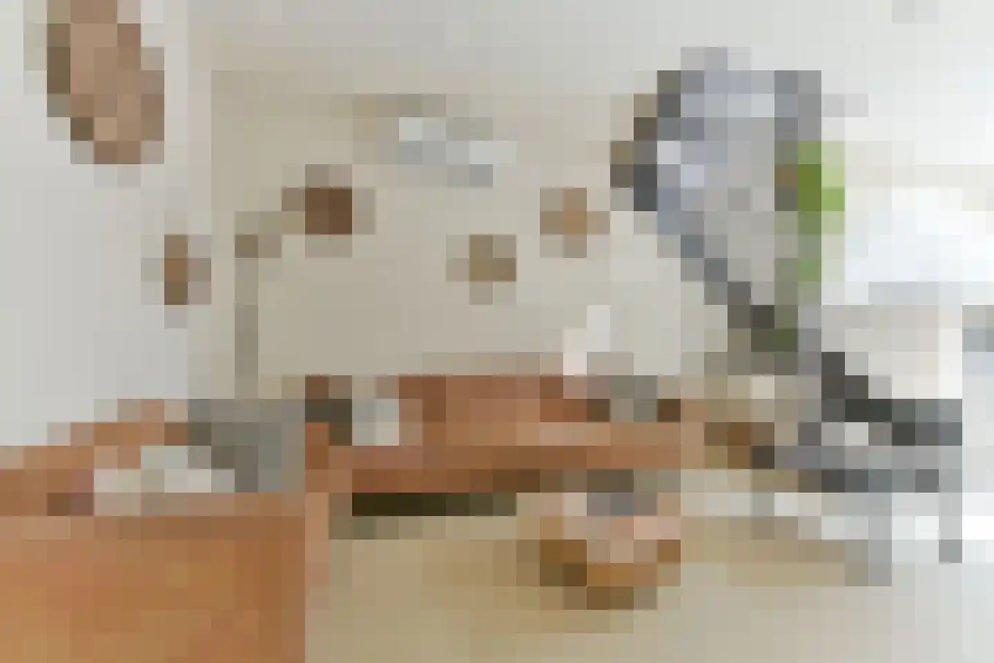 Laurens Reaalstraat 50 Utrecht thumbnail 8