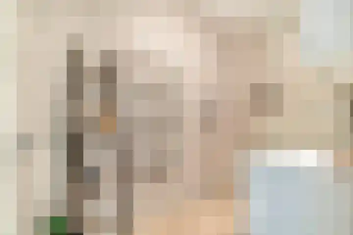 Laurens Reaellaan 10 II Haarlem thumbnail 18