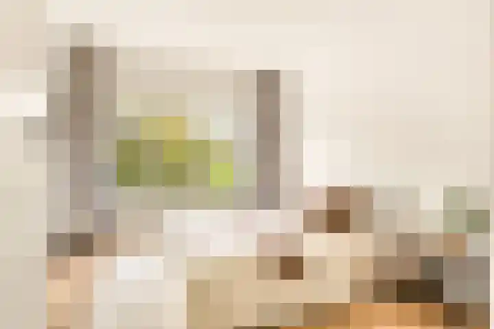 Laurens Reaellaan 10 II Haarlem thumbnail 31