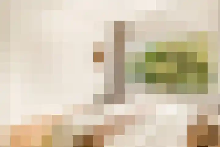 Laurens Reaellaan 10 II Haarlem thumbnail 32