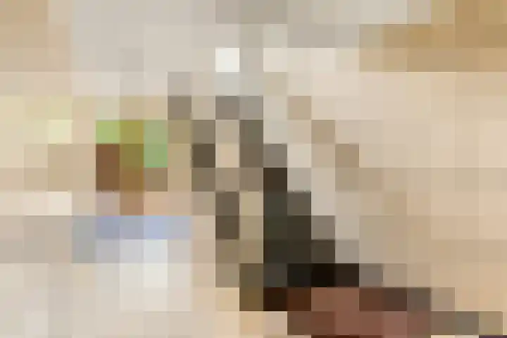 Laurens Reaellaan 10 II Haarlem thumbnail 37