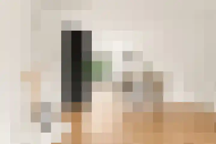 Laurens Reaellaan 10 II Haarlem thumbnail 5