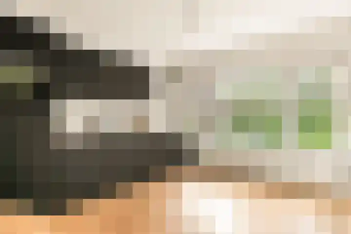 Laurens Reaellaan 10 II Haarlem thumbnail 8
