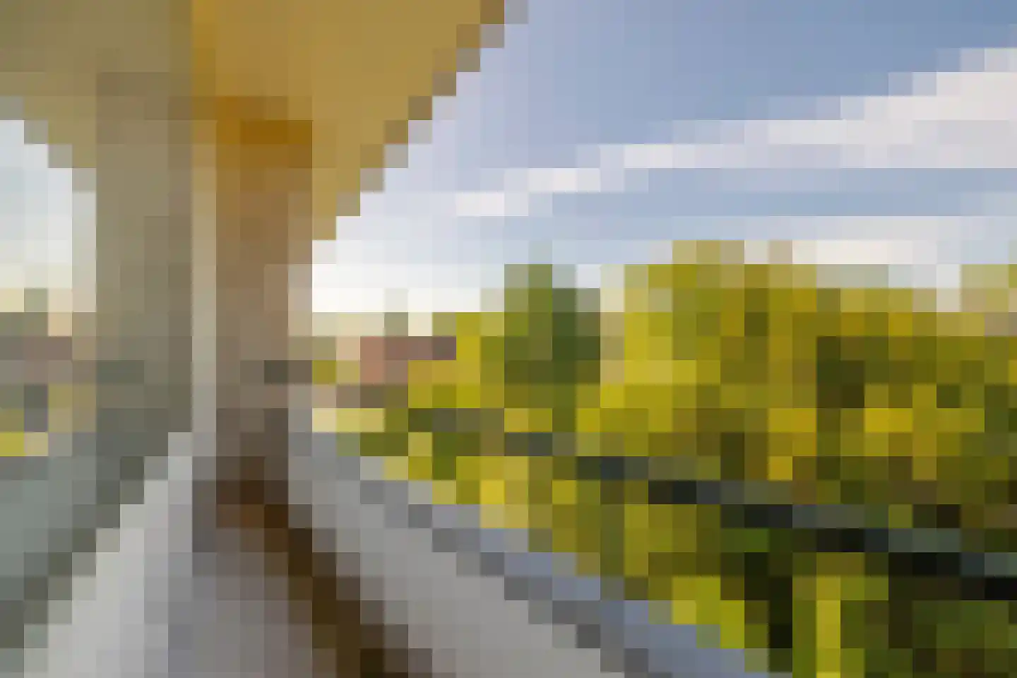 Laurens Reaellaan 20 III Haarlem thumbnail 30