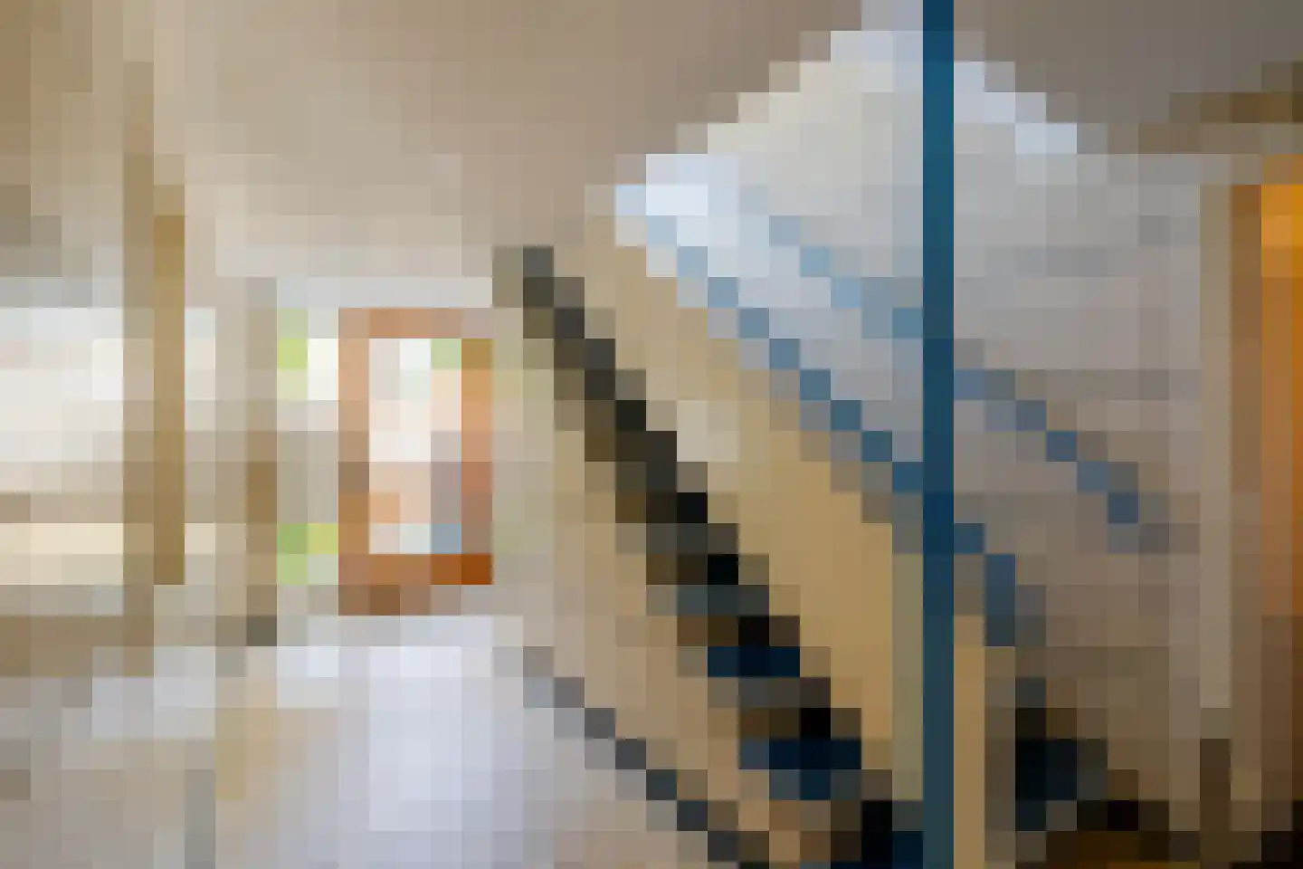 Laurens Reaellaan 20 III Haarlem thumbnail 8