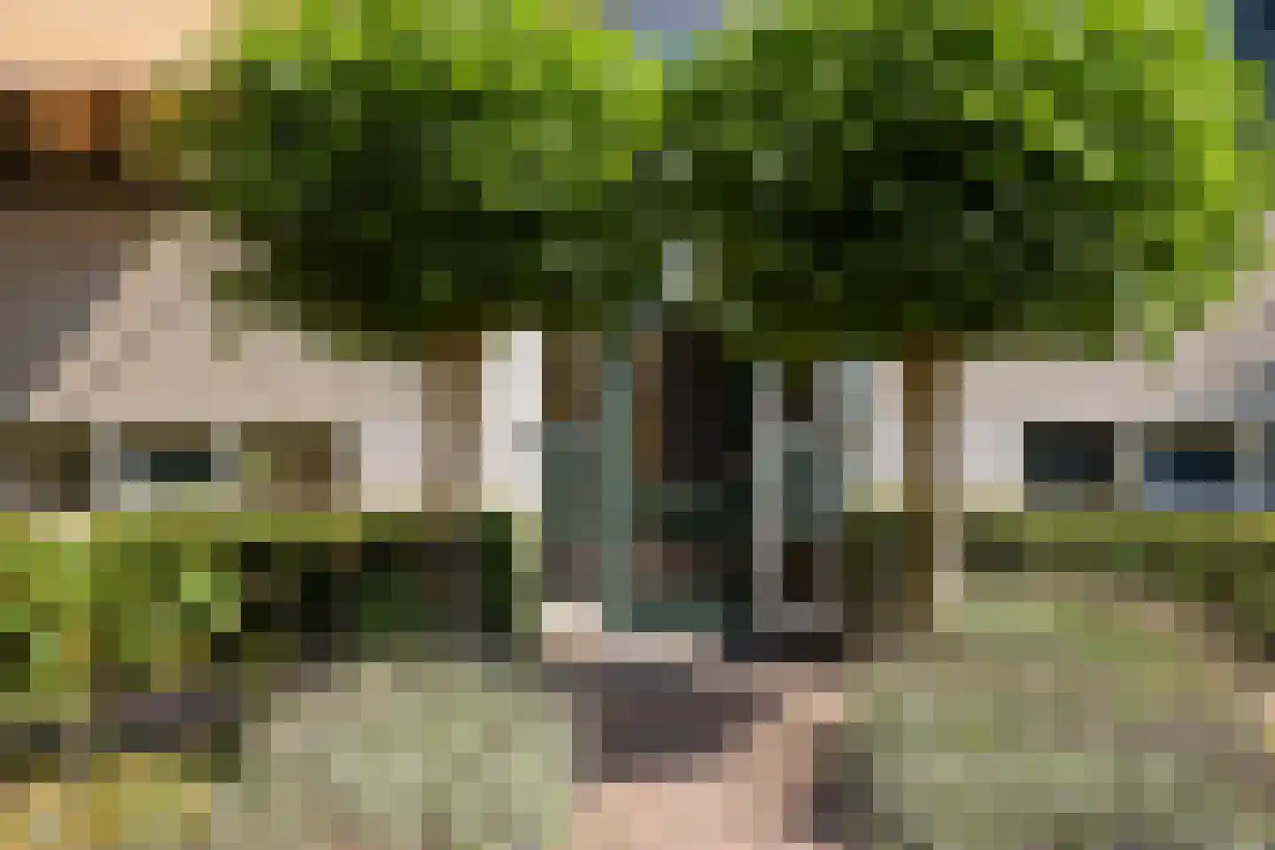 Laurens Reaellaan 22 II Haarlem thumbnail 10