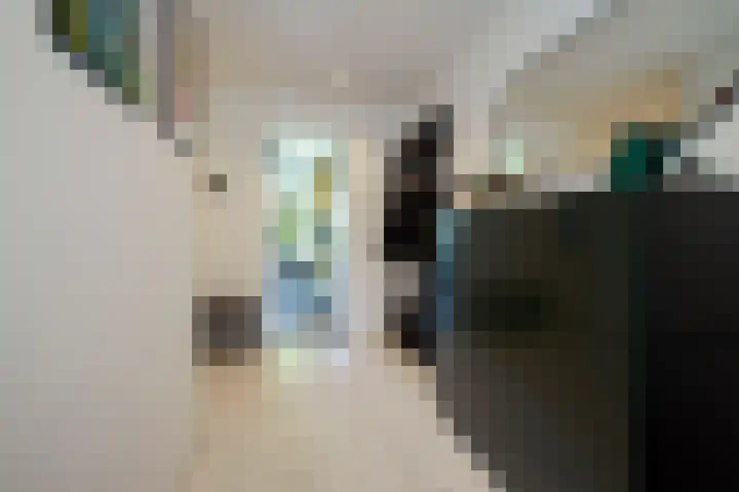 Laurens Reaellaan 22 II Haarlem thumbnail 29