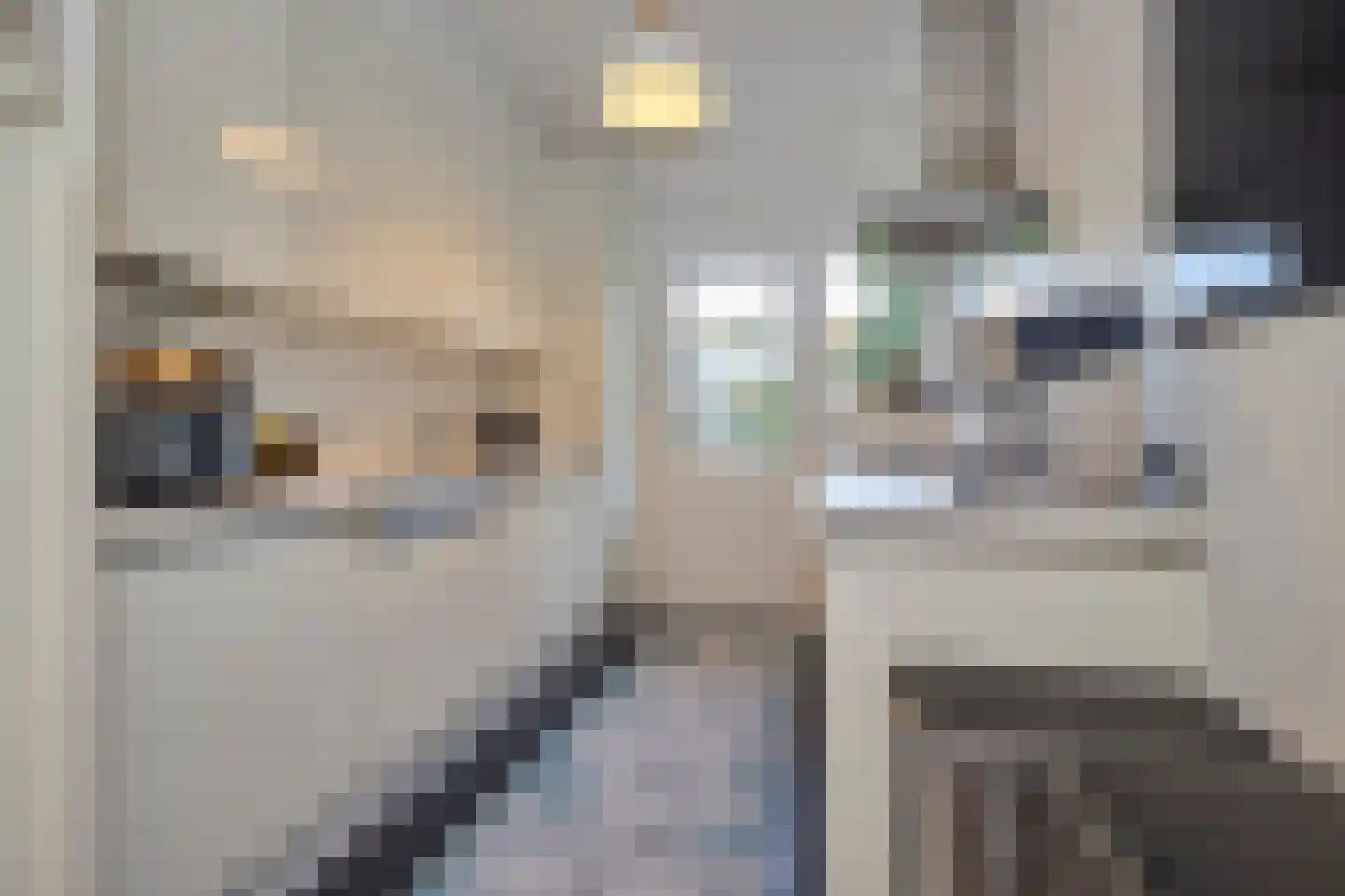 Laurens Reaellaan 22 II Haarlem thumbnail 30
