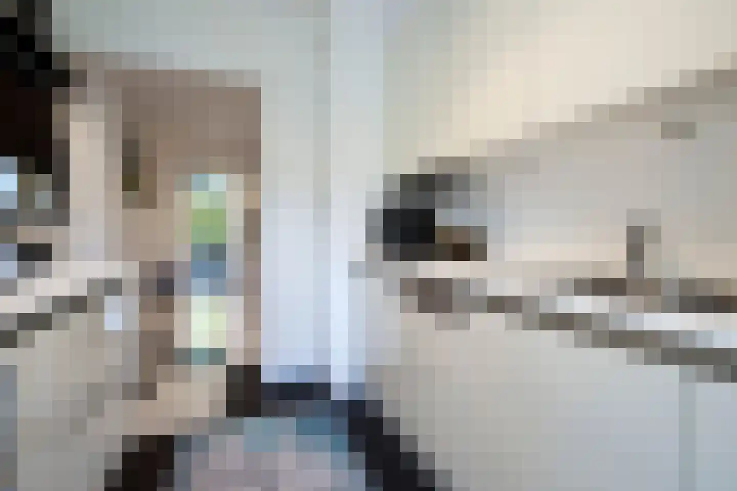 Laurens Reaellaan 22 II Haarlem thumbnail 32