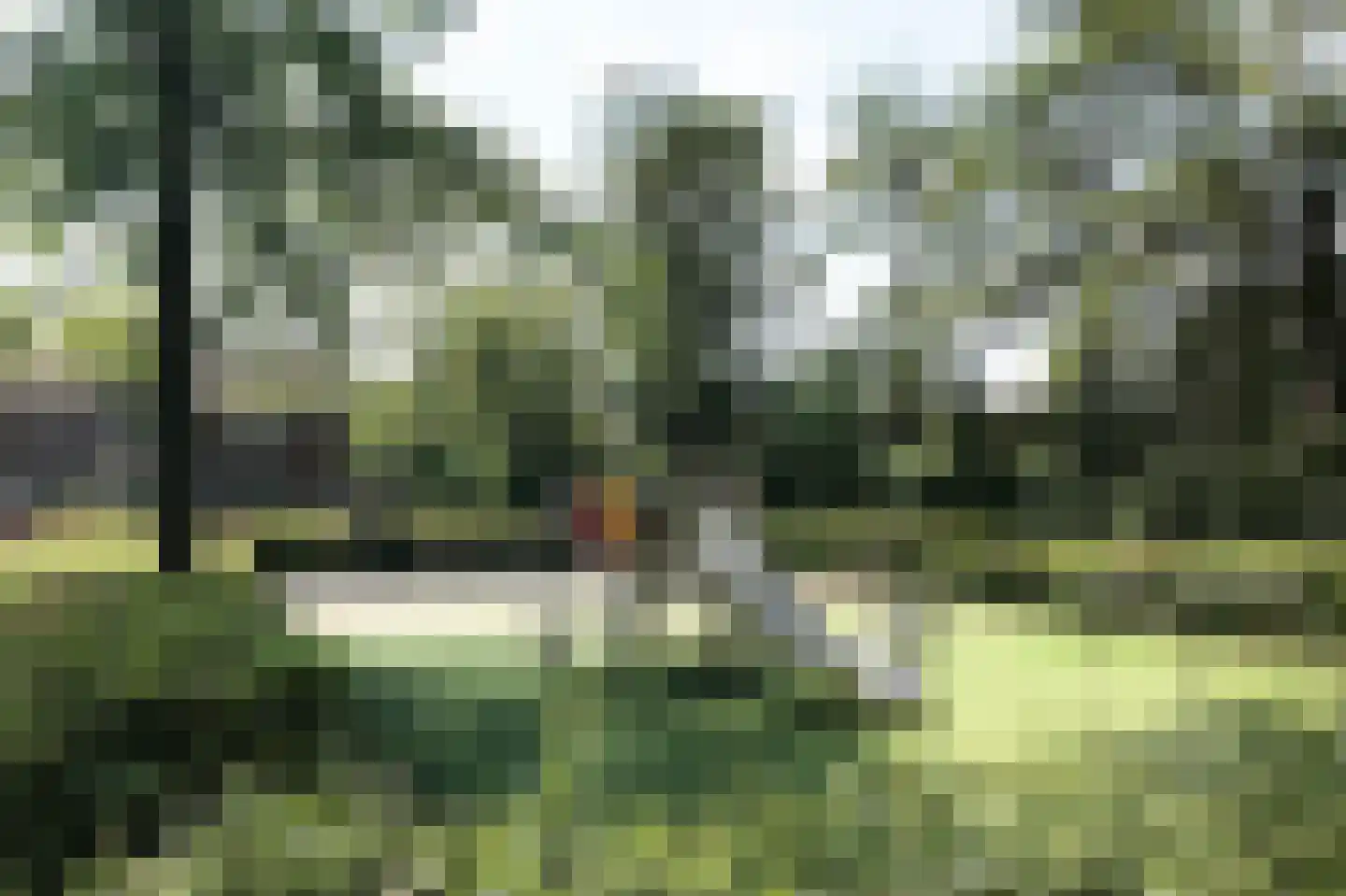 Laurens Reaellaan 26 II Haarlem thumbnail 34