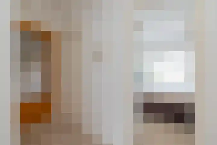 Laurens Reaellaan 30 II Haarlem thumbnail 18