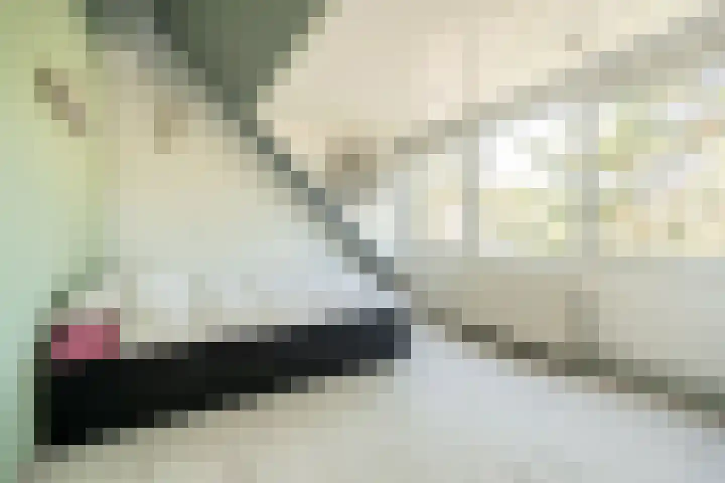 Laurens Reaellaan 39 Haarlem thumbnail 37