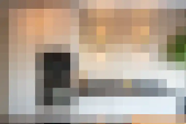 Laurens Reaellaan 72 I Haarlem thumbnail 11