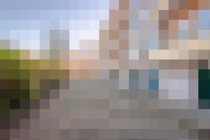 Laurens Reaellaan 72 I Haarlem thumbnail 29