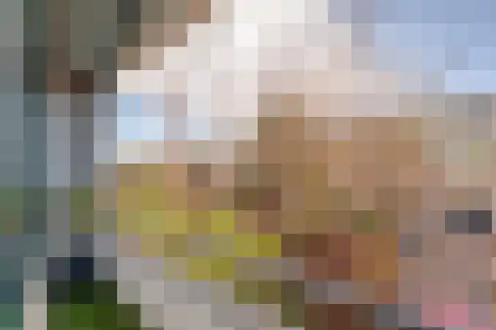 Laurens Reaellaan 72 I Haarlem thumbnail 9