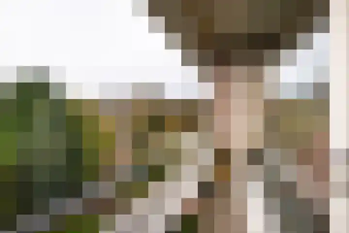 Laurens Reaellaan 78 III Haarlem thumbnail 11