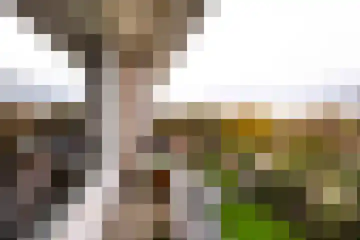 Laurens Reaellaan 78 III Haarlem thumbnail 17