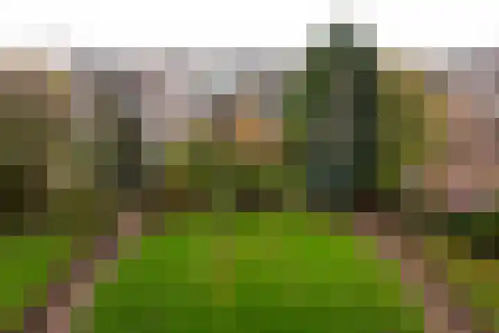 Laurens Reaellaan 78 III Haarlem thumbnail 18