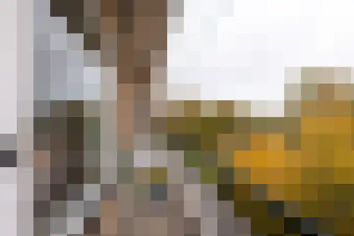 Laurens Reaellaan 78 III Haarlem thumbnail 8