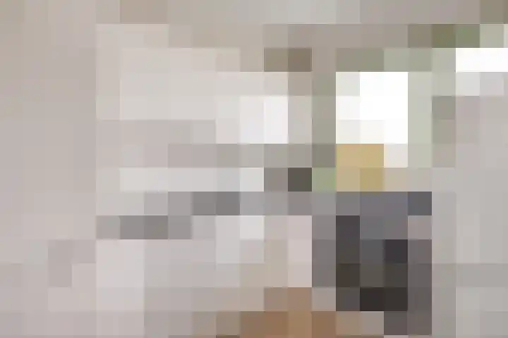 Laurens Reaellaan 78 III Haarlem thumbnail 9