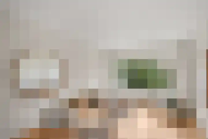 Laurens Reaellaan 8 I Haarlem thumbnail 11