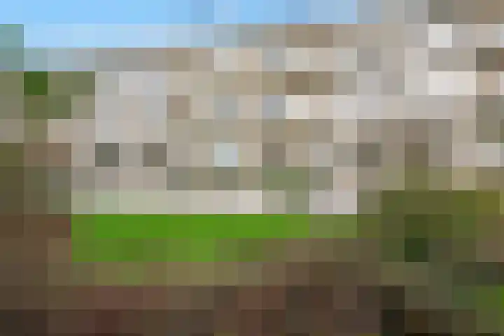 Laurens Reaellaan 8 I Haarlem thumbnail 28