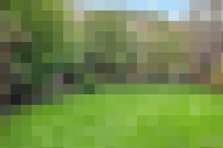 Laurens Reaellaan 8 I Haarlem thumbnail 29