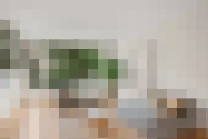 Laurens Reaellaan 8 I Haarlem thumbnail 6