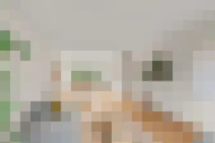 Laurens Reaellaan 8 I Haarlem thumbnail 9