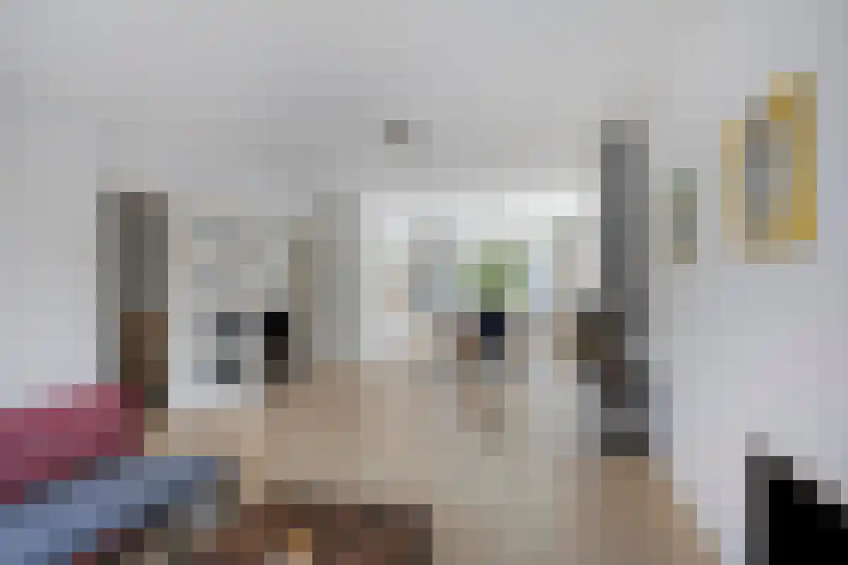 Laurens Reaellaan 80 Haarlem thumbnail 4