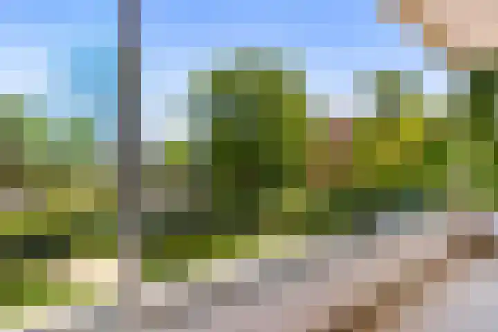 Laurens Reaellaan 80 I Haarlem thumbnail 27