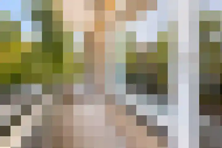 Laurens Reaellaan 80 I Haarlem thumbnail 28