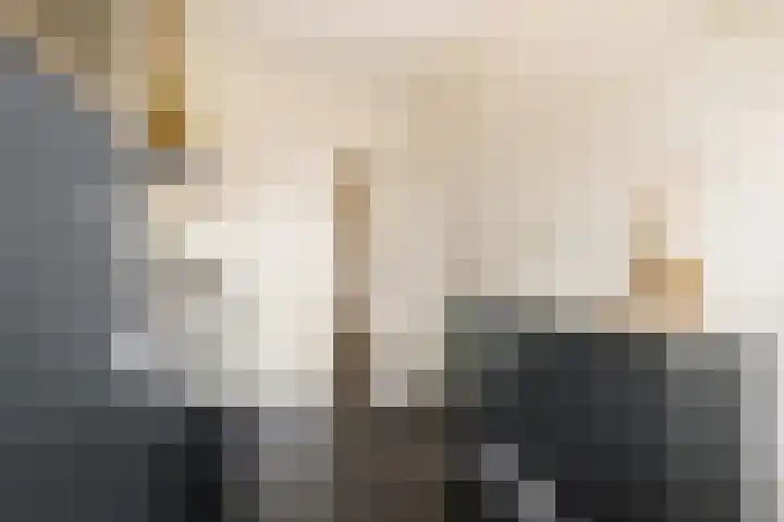 Laurens Reaellaan 80 I Haarlem thumbnail 30