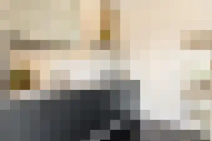Laurens Reaellaan 80 I Haarlem thumbnail 31